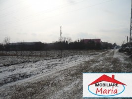 teren-pentru-constructii-de-vanzare-in-satu-mare-3
