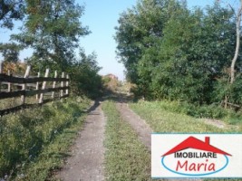 teren-agricol-de-vanzare-in-satu-mare-decebal-4