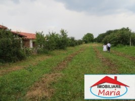 teren-pentru-constructii-de-vanzare-in-satu-mare-vetis-0