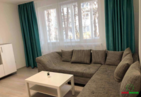 apartament-cu-3-camere-de-inchiriat-zona-nicolae-iorga-4