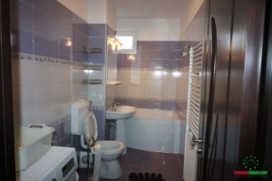 apartament-de-inchiriat-zona-mihai-viteazu-11