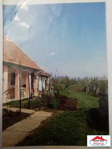 casa-veche-cu-teren-64-ari-in-vetis-id-21672