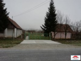 casa-veche-cu-teren-64-ari-in-vetis-id-21672-6