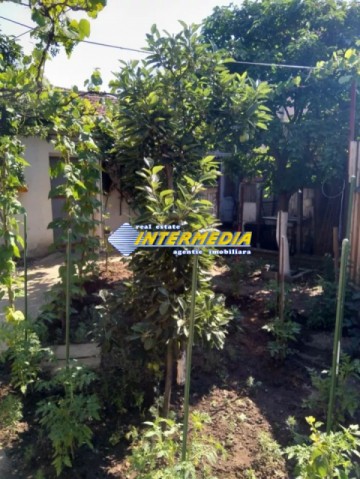 casa-de-vanzare-pe-un-nivel-p-cu-teren-si-utilitati-in-alba-iulia-4