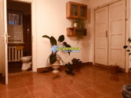 spatiu-birouri-de-inchiriat-35-mp-zona-cetate-alba-iulia-finisat-complet-20