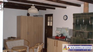 casa-3-camere-teren-975-mp-nucsoara-9