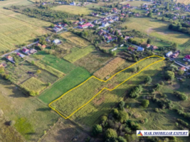 teren-intravilan-3800-mp-de-vanzare-stalpeni-arges-ideal-pentru-constructii-rezidentiale-sau-proiecte-de-vacanta