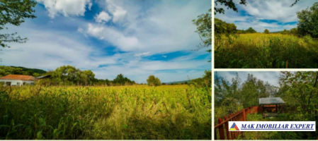 teren-intravilan-3800-mp-de-vanzare-stalpeni-arges-ideal-pentru-constructii-rezidentiale-sau-proiecte-de-vacanta-2