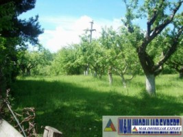 teren-3156-mp-intravilan-campulung