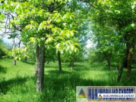 teren-3156-mp-intravilan-campulung-1