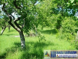 teren-3156-mp-intravilan-campulung-2