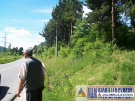 teren-3156-mp-intravilan-campulung-4