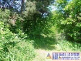 teren-3156-mp-intravilan-campulung-3