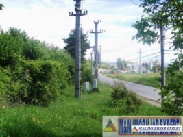 teren-3156-mp-intravilan-campulung-6