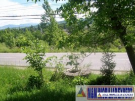 teren-3156-mp-intravilan-campulung-8