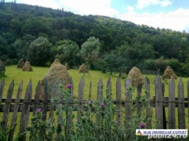 teren-2047-mp-intravilan-stoenesti-1