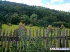 teren-2047-mp-intravilan-stoenesti-3