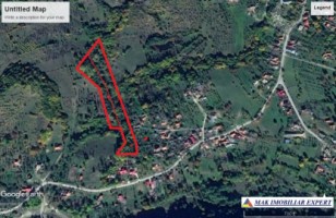 teren-extravilan-5650-mp-livada-poienarii-de-muscel-arges-agricultura-livada-2