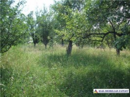 teren-1427-mp-intravilan-valea-mare-pravat-bilcesti