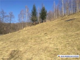 nu-mai-vinde-deocamdata-teren-1004-mp-intravilan-leresti-4