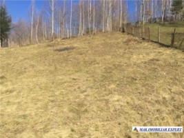 nu-mai-vinde-deocamdata-teren-1004-mp-intravilan-leresti-3