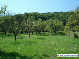 eren-7827-mp-5000-mp-intravilan-de-vanzare-in-balilesti-oportunitate-ideala-pentru-dezvoltari-rezidentiale-si-agricole-2