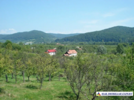 teren-5719-mp-17-ha-livada-si-padure-de-vanzare-in-balilesti-arges-ideal-pentru-investitii-agricole-si-silvice
