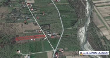 teren-5719-mp-17-ha-livada-si-padure-de-vanzare-in-balilesti-arges-ideal-pentru-investitii-agricole-si-silvice-2