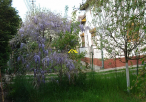 casa-in-alba-iulia-zona-cetate-2