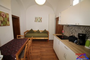 inchiriez-apartament-1-camera-la-casarenovat-zona-centrala-5