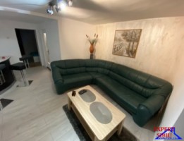 inchiriez-apartament-2-camere-la-casa-renovat-zona-parc-sub-arini-2