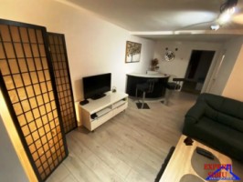 inchiriez-apartament-2-camere-la-casa-renovat-zona-parc-sub-arini-3