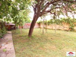 casa-cu-etaj-si-teren-10-ari-titulescu-id-21538-6