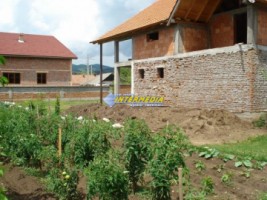 casa-la-rosu-in-vintu-de-jos-cu-800-mp-teren-5