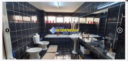 casa-cetate-schit-dp1m-cu-1250-mp-teren-la-asfalt-toate-utilitatiile-3