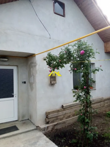 vand-casa-in-sard-5