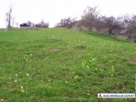 teren-intravilan-de-2200-mp-de-vanzare-in-dambovicioara-arges-ideal-pentru-proiecte-rezidentiale-si-turistice