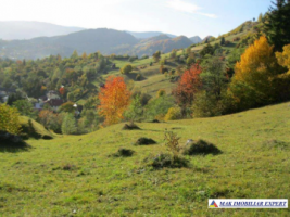 teren-9000-mp-intravilan-dambovicioara-cetatea-oratia-podul-dambovitei-2