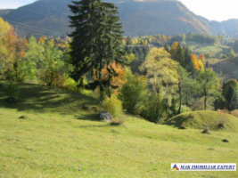 teren-9000-mp-intravilan-dambovicioara-cetatea-oratia-podul-dambovitei-3