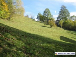 teren-9000-mp-intravilan-dambovicioara-cetatea-oratia-podul-dambovitei-5