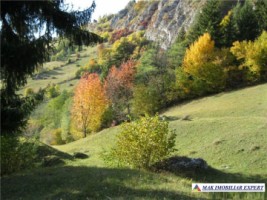 teren-9000-mp-intravilan-dambovicioara-cetatea-oratia-podul-dambovitei-6