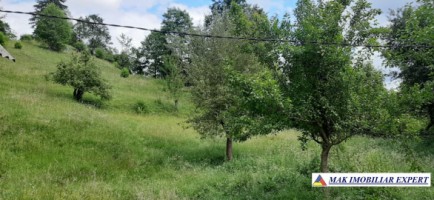 teren-9000-mp-intravilan-dambovicioara-cetatea-oratia-podul-dambovitei-8