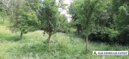 teren-9000-mp-intravilan-dambovicioara-cetatea-oratia-podul-dambovitei-9