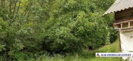 teren-9000-mp-intravilan-dambovicioara-cetatea-oratia-podul-dambovitei-16