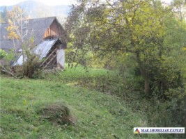 teren-9000-mp-intravilan-dambovicioara-cetatea-oratia-podul-dambovitei-13