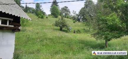 teren-9000-mp-intravilan-dambovicioara-cetatea-oratia-podul-dambovitei-17