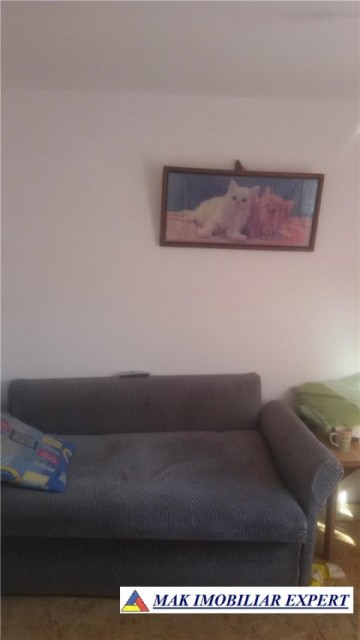 vand-vila-6-camere-cu-teren-de-2000-mp-livezeni-stalpeni-arges-ideala-pentru-resedinta-de-familie-sau-casa-de-vacanta-3