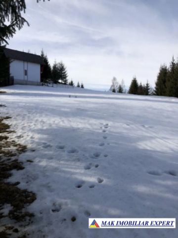 teren-intravilan-1037-mp-in-dambovicioara-arges-locatie-perfecta-pentru-case-de-vacanta-sau-proiecte-rezidentiale