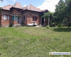 vand-casa-4-camere-cu-anexele-sale-teren-6000-mp-hartiesti-1
