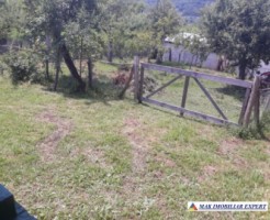 vand-casa-4-camere-cu-anexele-sale-teren-6000-mp-hartiesti-13